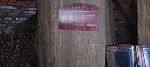 太阳集团tcy8722网站